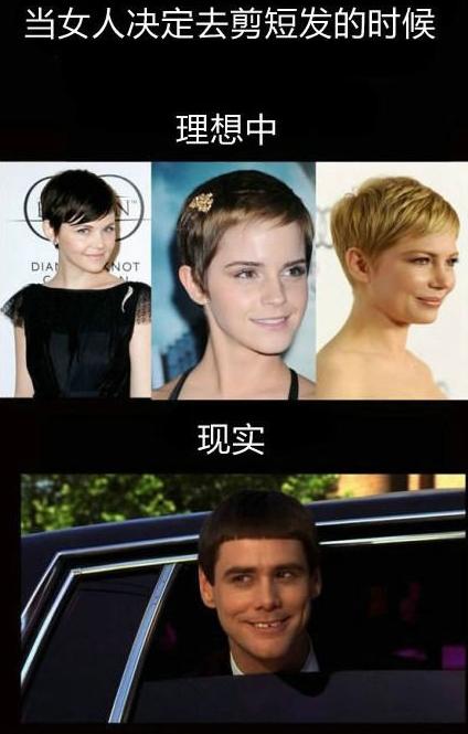 理想和现实的差距 理想和现实的差距