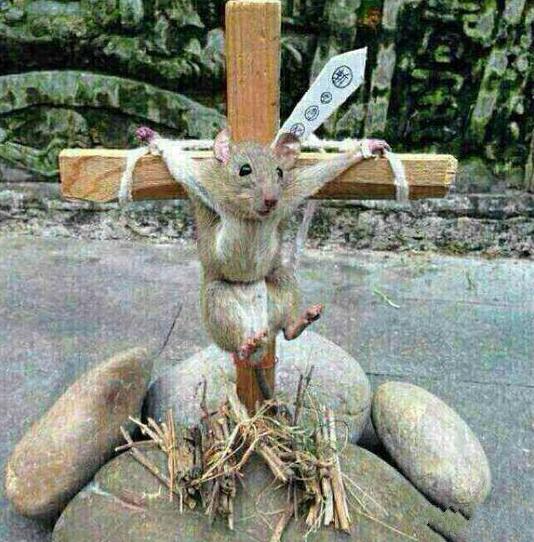 用刑。。。 用刑。。。