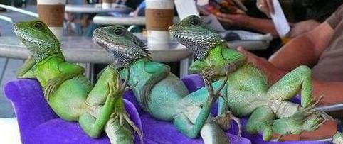 看我们销魂的姿势 看我们销魂的姿势