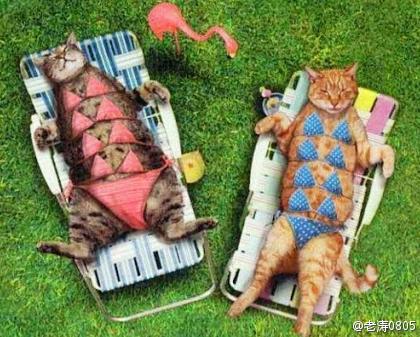 看来奶多也成困扰 看来奶多也成困扰