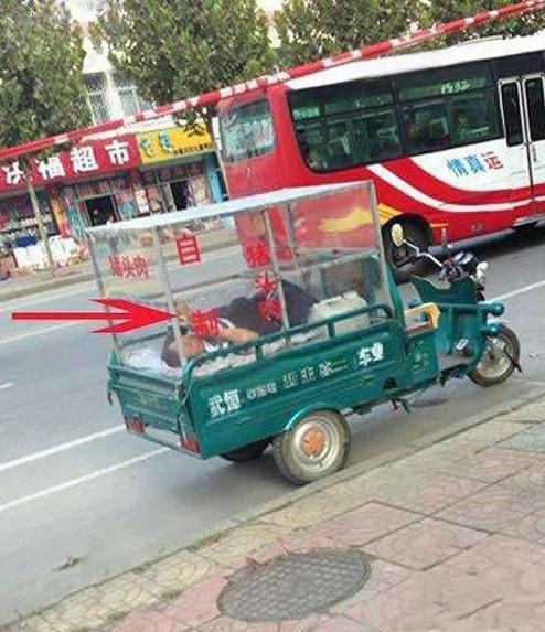 看来这猪头肉确实是自制的 看来这猪头肉确实是自制的