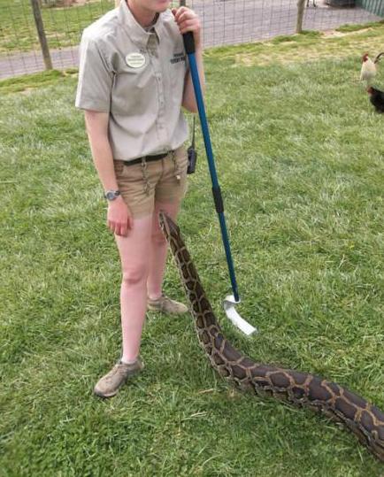 真会找弱点 真会找弱点