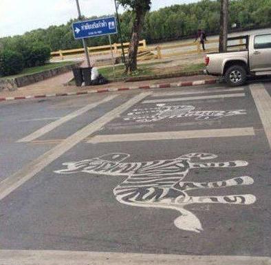 真正的斑马线 真正的斑马线