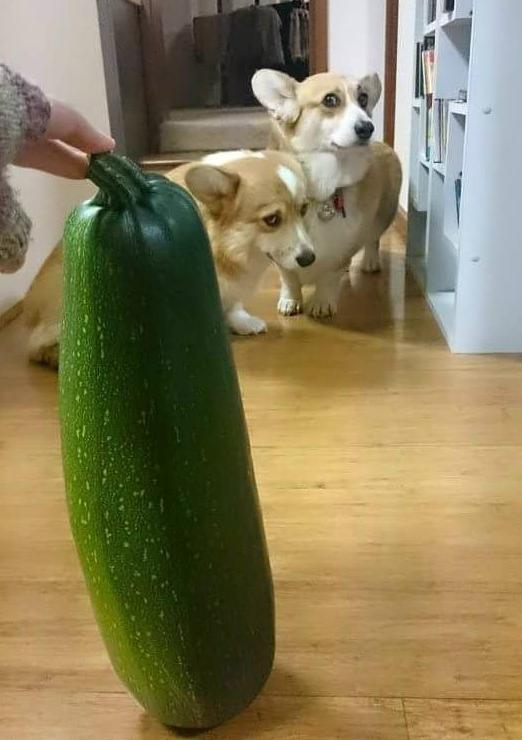 眼神充满了故事 眼神充满了故事