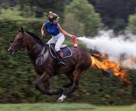 神奇宝贝烈焰马 神奇宝贝烈焰马