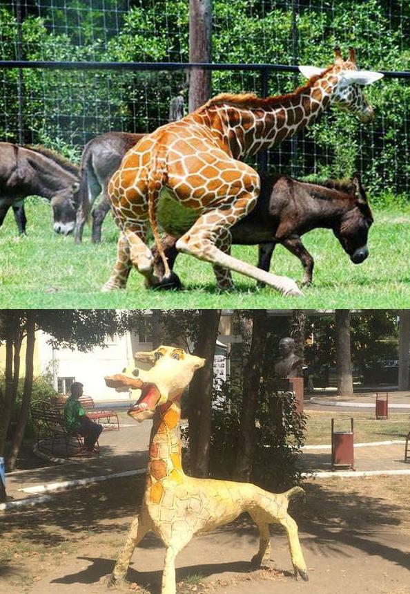 神奇的大自然 神奇的大自然