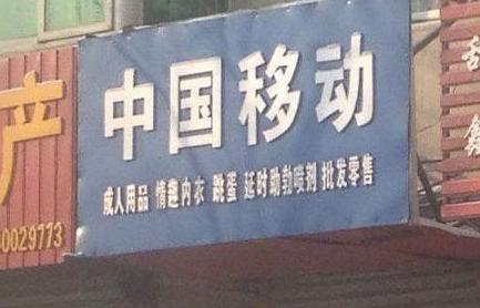 移动终于走上了多元化发展道路 移动终于走上了多元化发展道路
