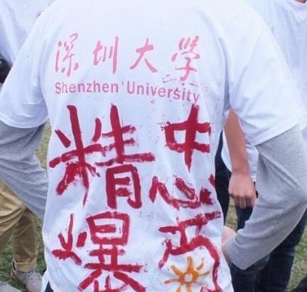 精忠爆菊 精忠爆菊