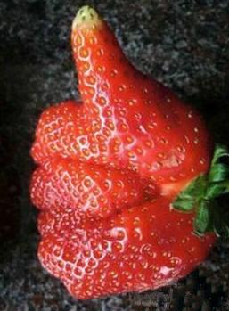 给你一个赞 给你一个赞