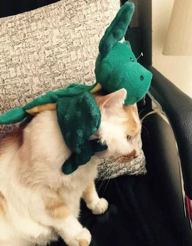 给你三秒把这玩意儿从朕身上拿走 给你三秒把这玩意儿从朕身上拿走