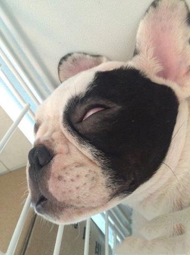 给你个眼神自己体会 给你个眼神自己体会