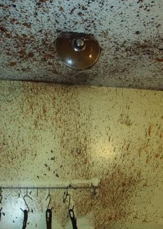 网友分享了自己第一次做饭的喜悦 网友分享了自己第一次做饭的喜悦