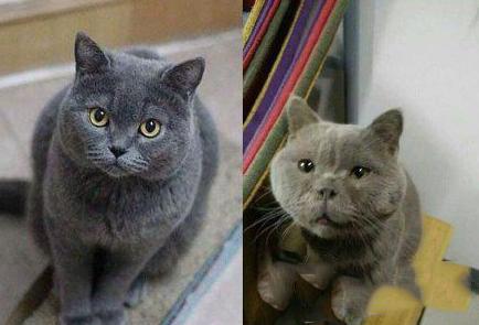 美图自拍和实际上你的样子 美图自拍和实际上你的样子