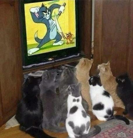 老大加油 老大加油