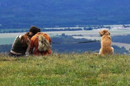 自从有了女朋友就真的成了单身狗 自从有了女朋友就真的成了单身狗