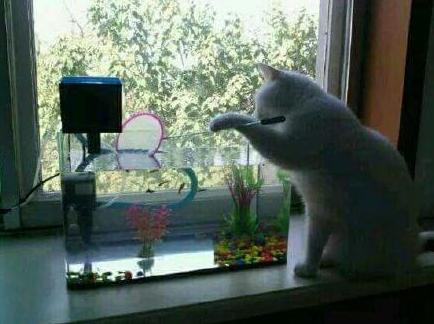 自助海底捞 自助海底捞