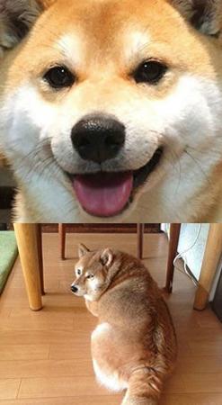 自拍的你和别人拍的你 自拍的你和别人拍的你