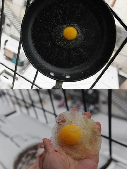 蛋黄味的冰棍 蛋黄味的冰棍