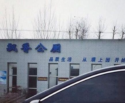 见过的最没有说服力的名字 见过的最没有说服力的名字