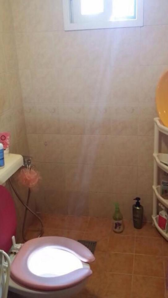 觉得我家马桶和月光宝盒有同样的功能 觉得我家马桶和月光宝盒有同样的功能