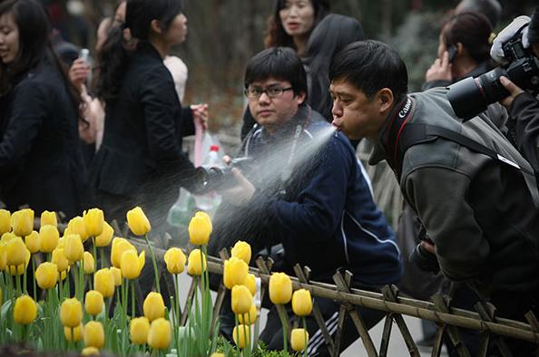 论如何拍出雨中鲜花的效果 论如何拍出雨中鲜花的效果