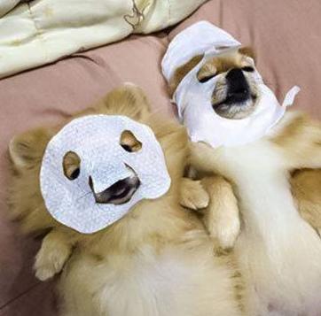 论脸大与脸小敷面膜的区别 论脸大与脸小敷面膜的区别