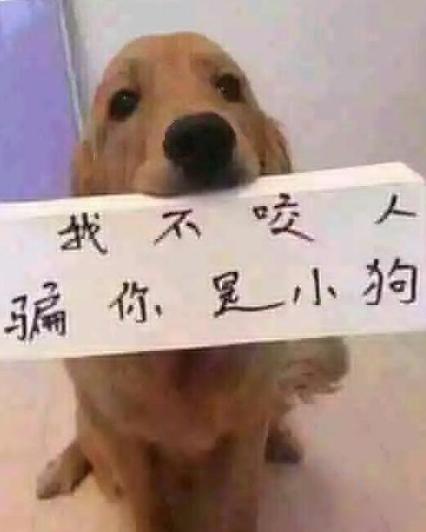 该不该信你呢 该不该信你呢