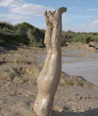 请问头在那里能呼吸吗 请问头在那里能呼吸吗