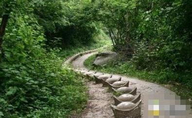 谁敢和我抢这条路我和谁急 谁敢和我抢这条路我和谁急