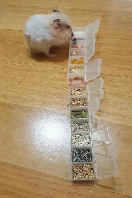 豪华自助餐 豪华自助餐