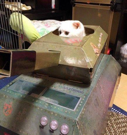 贝塔快出来决一死战 贝塔快出来决一死战