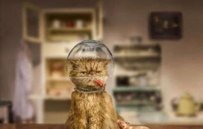 贪心不足蛇吞象 贪心不足蛇吞象