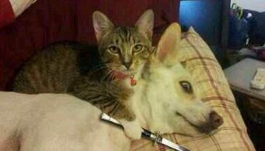 赶紧拿钱来要不然就撕票 赶紧拿钱来要不然就撕票