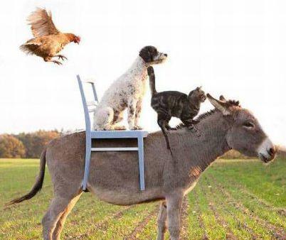 跟朋友一起来一场说走就走的旅行 跟朋友一起来一场说走就走的旅行