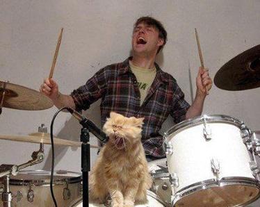 跟着音乐吼起来 跟着音乐吼起来