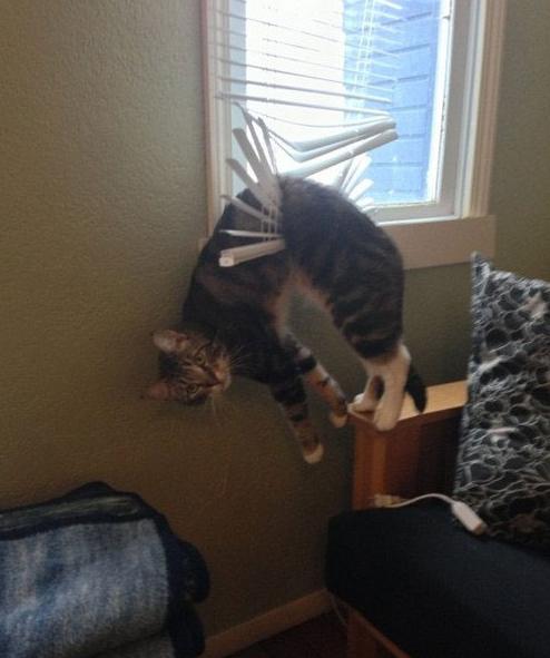 跳窗户失败 跳窗户失败