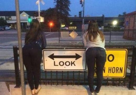 过马路就应该仔细的左看右看 过马路就应该仔细的左看右看