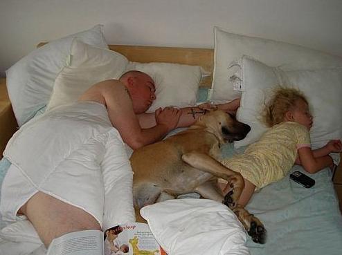 这一家三口的幸福睡姿 这一家三口的幸福睡姿