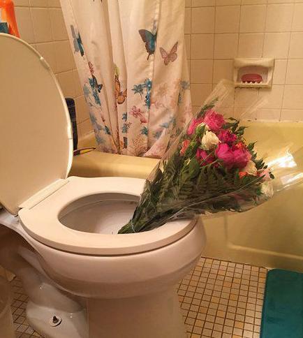 这个花瓶养分比较高 这个花瓶养分比较高