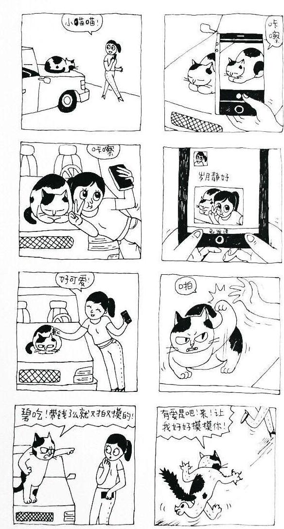 这可能是反自拍组织的猫 这可能是反自拍组织的猫