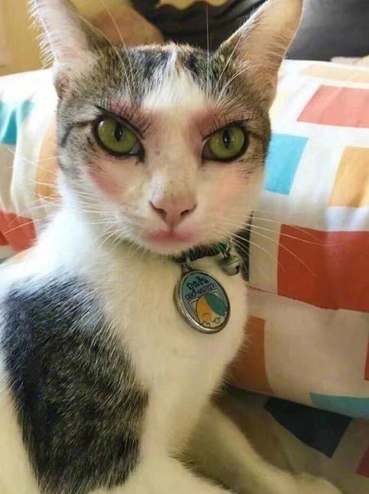 这妆化的我给满分 这妆化的我给满分