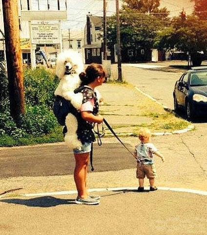 这孩纸是买狗狗送的吧 这孩纸是买狗狗送的吧