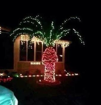 这就是为何不能用椰子树当圣诞树的原因 这就是为何不能用椰子树当圣诞树的原因