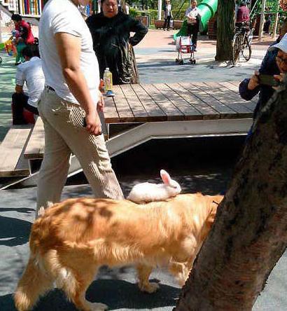 这是我的新坐骑 这是我的新坐骑