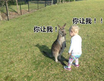 这片草地上只能有一个王者 这片草地上只能有一个王者