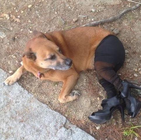 这货又出来勾搭野汉子了 这货又出来勾搭野汉子了