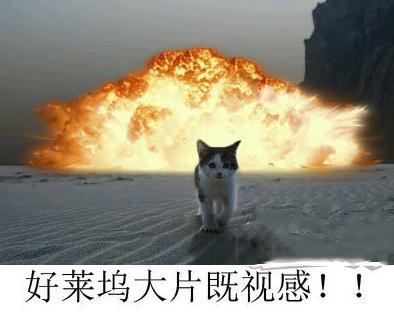 进击的喵星人 进击的喵星人