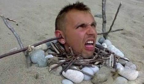 逗比的日常行为 逗比的日常行为