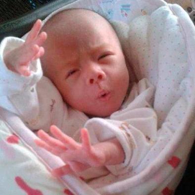 逗比的气质是与生俱来的 逗比的气质是与生俱来的