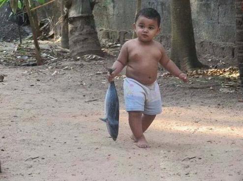 逮条鱼回家做汤 逮条鱼回家做汤